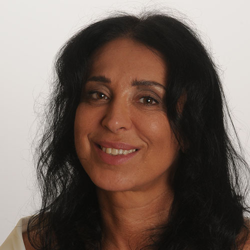 Ancsa vicepresidente Simona Berruti